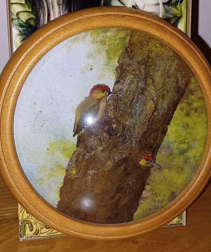 Green Woodpeckers (Version 4) (5-inch)